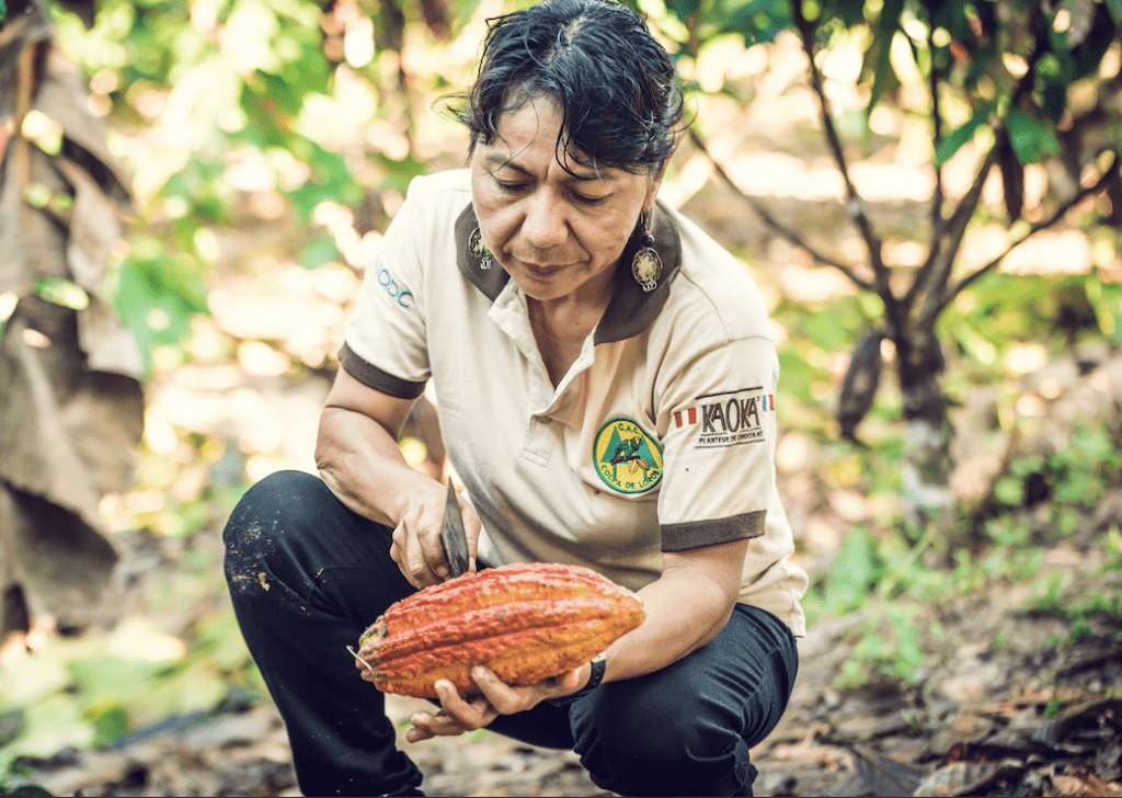 bergamote-kaoka-cacao